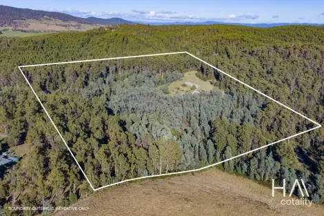 2235 Pipers River Rd, Pipers River, TAS 7252