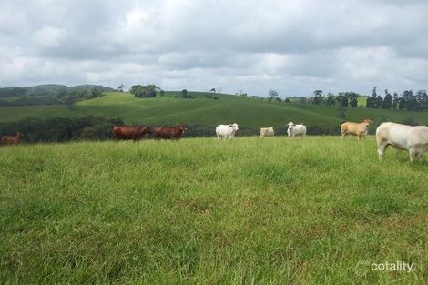 262 Fuller Rd, Butchers Creek, QLD 4885