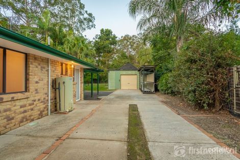 Property photo of 3 Einsleigh Court Beerwah QLD 4519