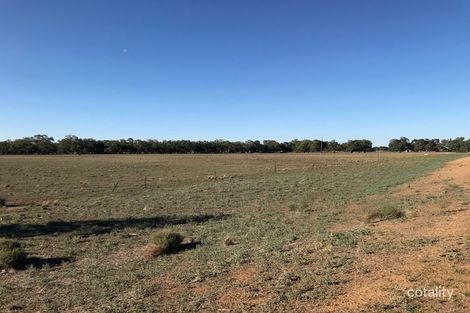 Property photo of 397 Harry Road Milloo VIC 3572