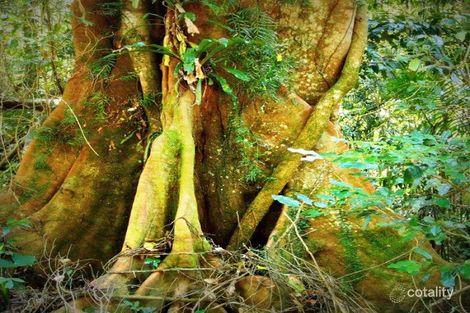 139 Bakers Rd, Natural Bridge, QLD 4211