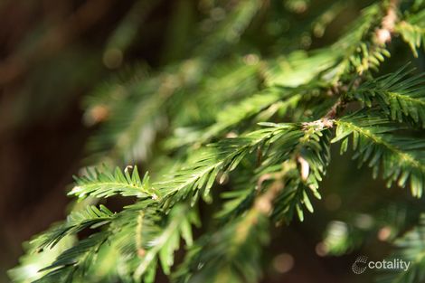 Property photo of 31 Aitken Road Bowral NSW 2576