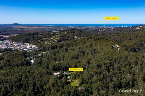 Property photo of 35 Wild Honey Place Buderim QLD 4556