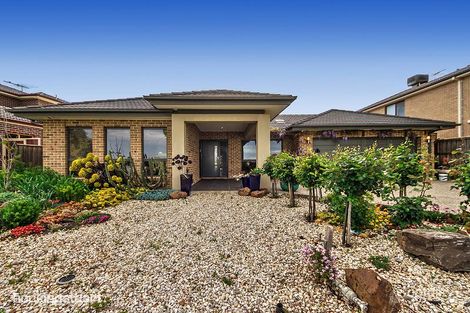 197 Arbour Bvd, Burnside Heights, VIC 3023