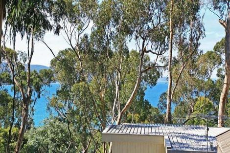 Property photo of 8 Francis Street Lorne VIC 3232