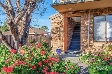 Property photo of 5/31 South Street Bellerive TAS 7018