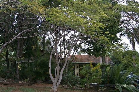 3 Tanis St, Eight Mile Plains, QLD 4113