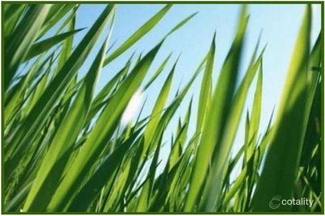 10b Mullings Way, Myaree, WA 6154