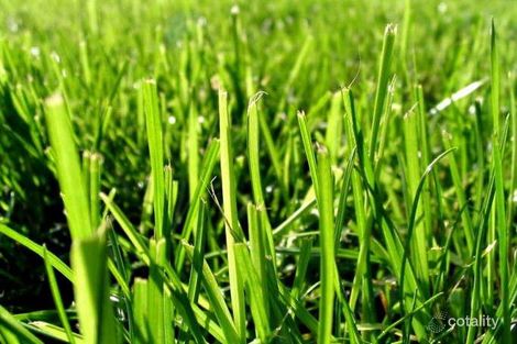 31a Houston St, Mentone, VIC 3194