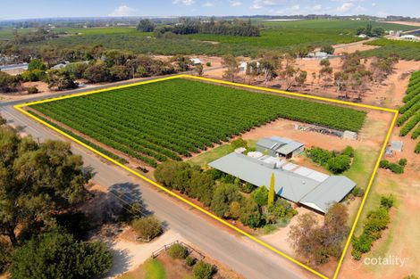 26 Kulkyne St, Renmark West, SA 5341