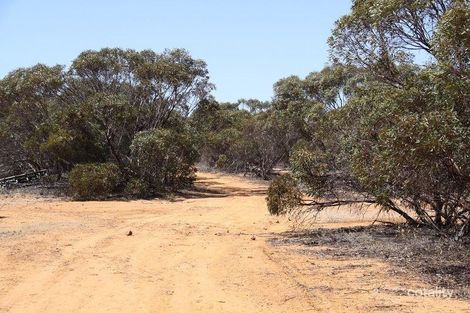 31 Mulpata Rd, Lameroo, SA 5302