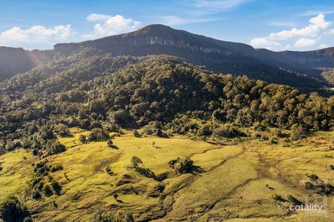 Property photo of 331 Settlement Road Numinbah NSW 2484