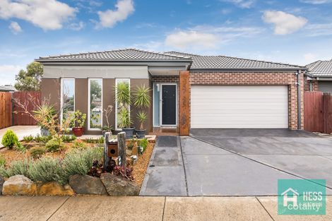 Property photo of 1 Vineleaf Avenue Wallan VIC 3756