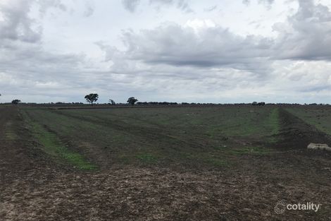 Property photo of 801 Anderson Road Coleambally NSW 2707