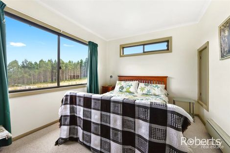 Property photo of 124 Gannons Hill Road Moltema TAS 7304
