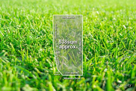 11 Wilandra Dr, Tarneit, VIC 3029