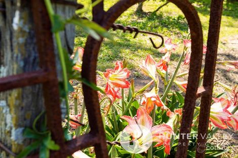 Property photo of 23 Riverview Road Bolwarra Heights NSW 2320