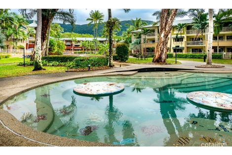 Property photo of 322/49-63 Williams Esplanade Palm Cove QLD 4879