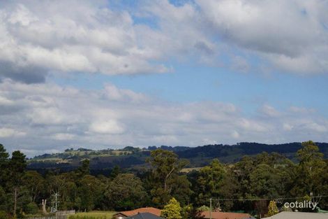 Property photo of 17 Cordeaux Street Willow Vale NSW 2575