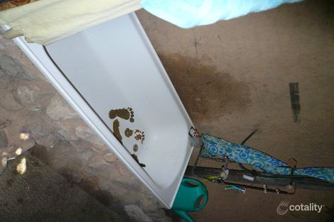 Property photo of 520 Males Drive Tara QLD 4421