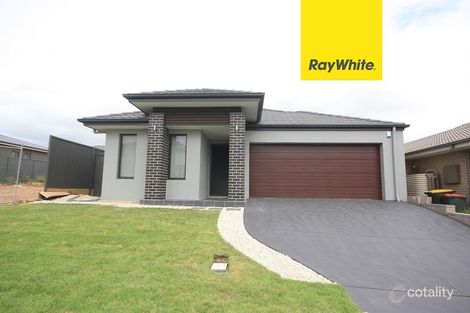 8 Matrush St, Denham Court, NSW 2565