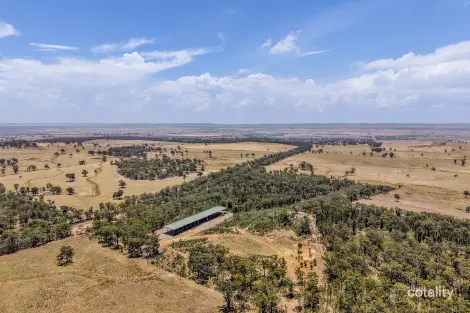 Property photo of 364 Tucklan Road Dunedoo NSW 2844