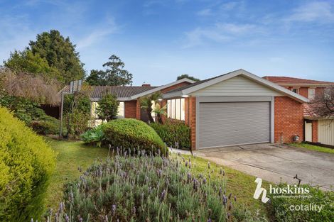 17 Michellan Ct, Donvale, VIC 3111