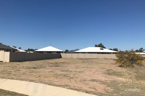 Property photo of 60 Acacia Drive Miles QLD 4415