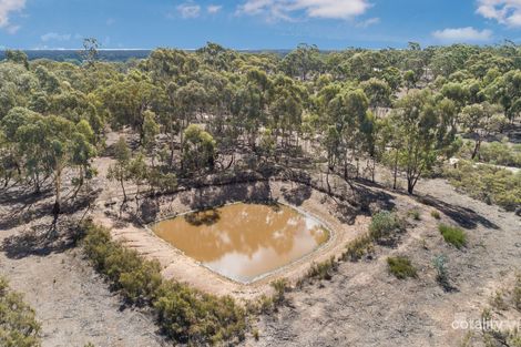 109 Fitzgibbon Rd, Eppalock, VIC 3551