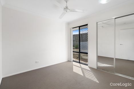 Property photo of 19 Cyperus Crescent Carseldine QLD 4034