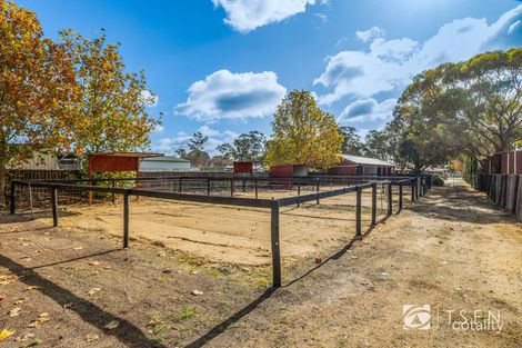 Property photo of 50 Heinz Street East Bendigo VIC 3550