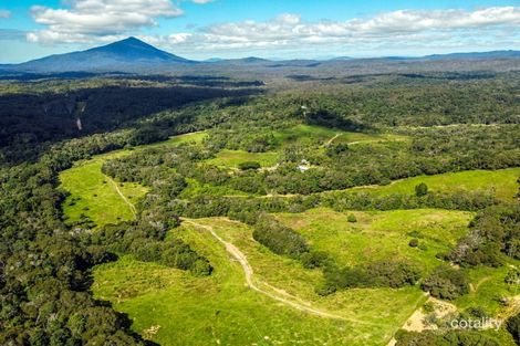 Property photo of 4414 Black Mountain Road Julatten QLD 4871
