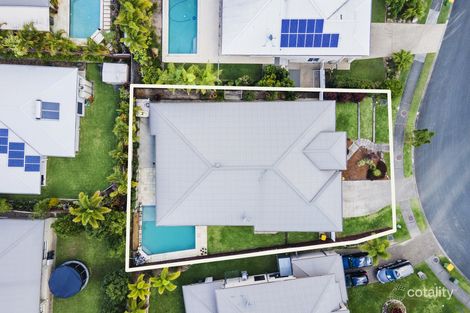 Property photo of 7 York Creek Crescent Reedy Creek QLD 4227