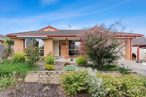 Property photo of 11 Harridge Street Rosebud VIC 3939