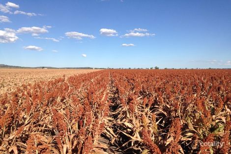 472 Mann Silo Rd, Kincora, QLD 4356