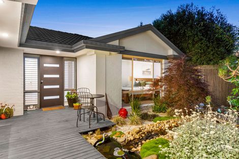 Property photo of 3 Hareeba Court Mornington VIC 3931