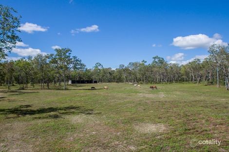 Property photo of 315 Kanervo Road Koah QLD 4881