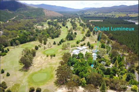 Property photo of 414 Back Porepunkah Road Bright VIC 3741