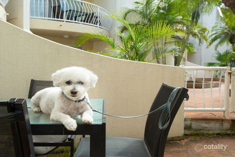 Property photo of 4/27 Peninsular Drive Surfers Paradise QLD 4217