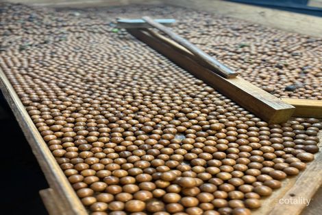 264 Williams Rd, Benarkin North, QLD 4314