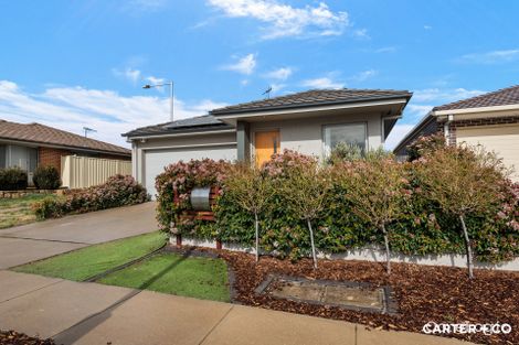 Property photo of 34 Stanner Circuit Bonner ACT 2914