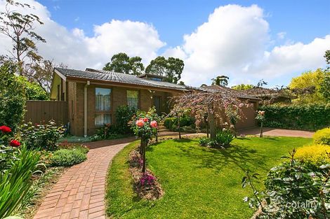 19 Greenwoods Cl, Dingley Village, VIC 3172