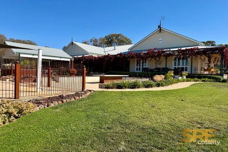335 Racecourse Rd, Redesdale, VIC 3444