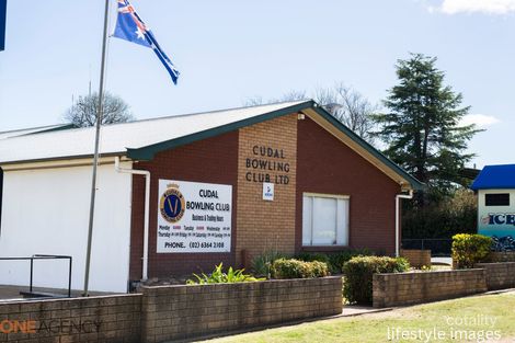Property photo of 47 Rodda Drive Cudal NSW 2864