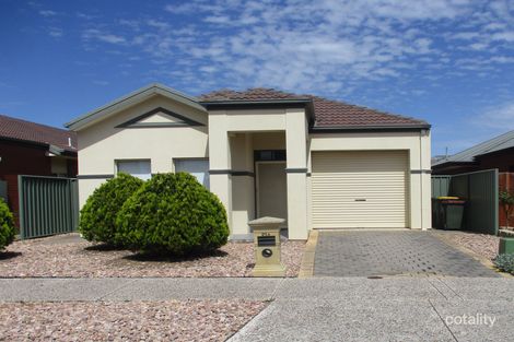 21a Rosella St, Mawson Lakes, SA 5095