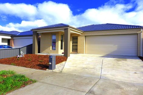 50 Loudon Cct, Craigieburn, VIC 3064