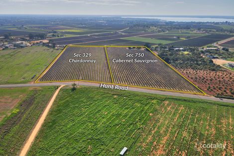 184 Caddy Rd, Barmera, SA 5345