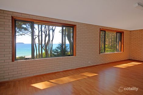 Property photo of 206 George Bass Drive Lilli Pilli NSW 2536