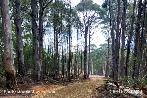 Property photo of 29 Middle Road Pelverata TAS 7150