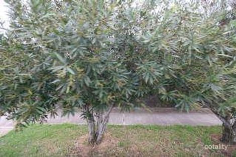 67 May Tce, Ottoway, SA 5013